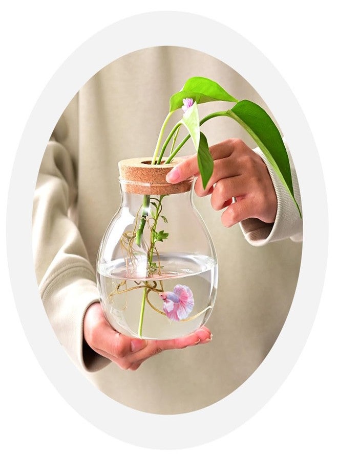 CUSNESTAL Small Fish Bowl, Cute Betta Tank, High Clear Fish Glass Bowl, Desktop Mini Aquarium Vases for Betta Fish and Hydroponic Plants, Plants Propagation Station, Home Office Table Decorations - Image 5